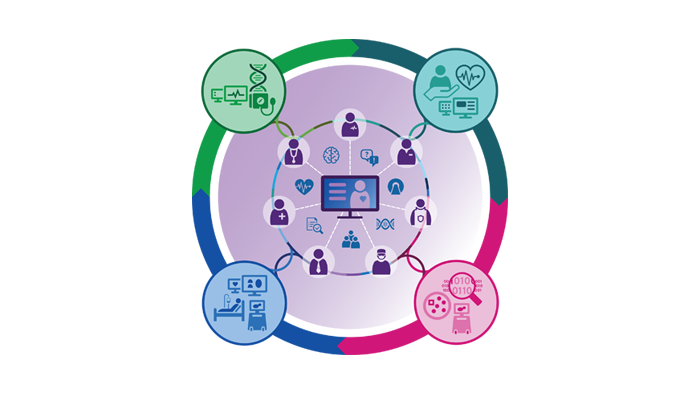 Cardiotoxicity monitoring and prevention strategies infographic